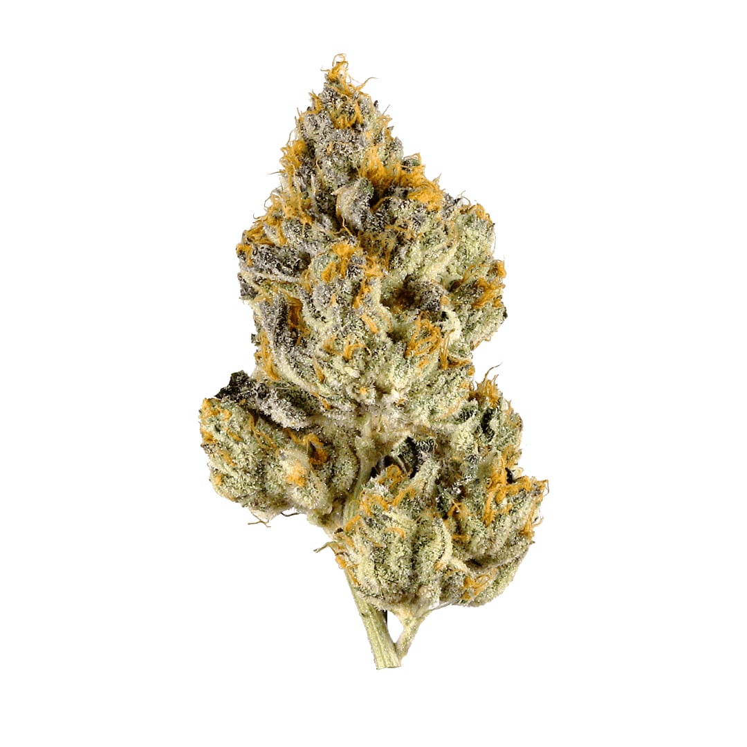 Exotic Dispensary CharoenNakorn
