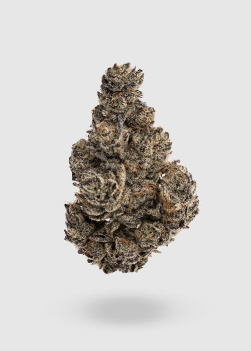 Climax Cannabis