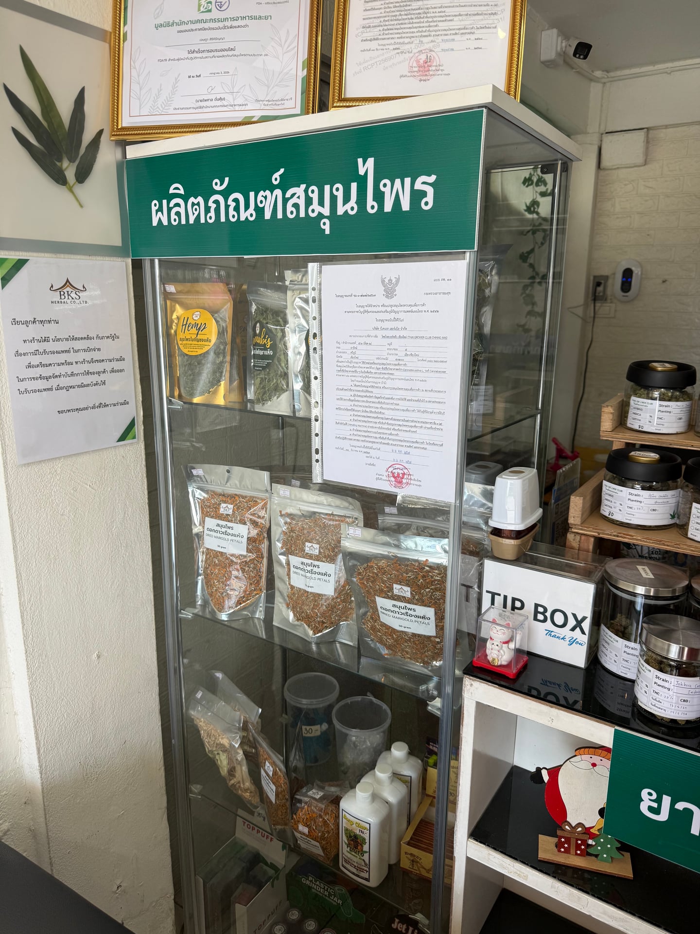 Thai Grower Club Chiang Mai