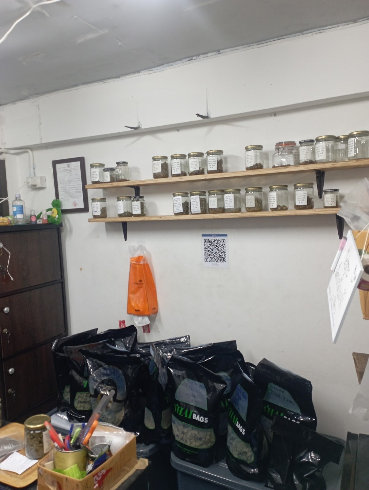 Cannabis420cnx