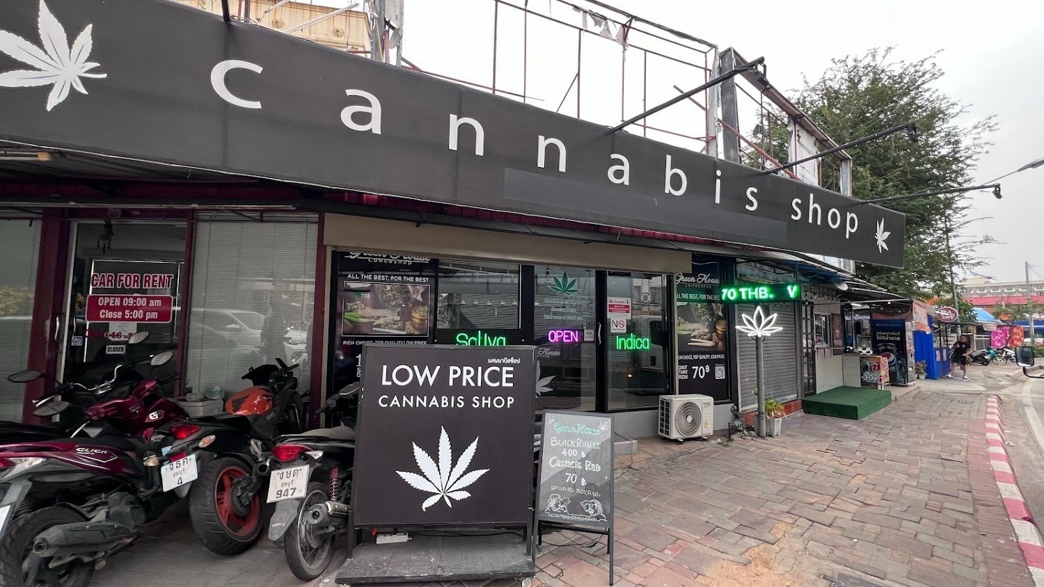 Green House Coffeeshop Thap Phraya