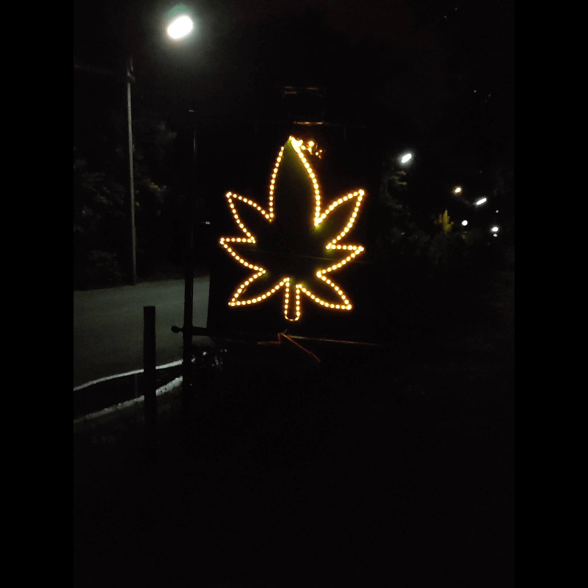大麻ショップ Club 6862 ロゴ