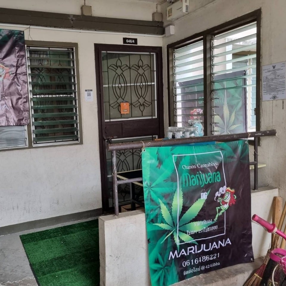Chanon Cannabiss 2