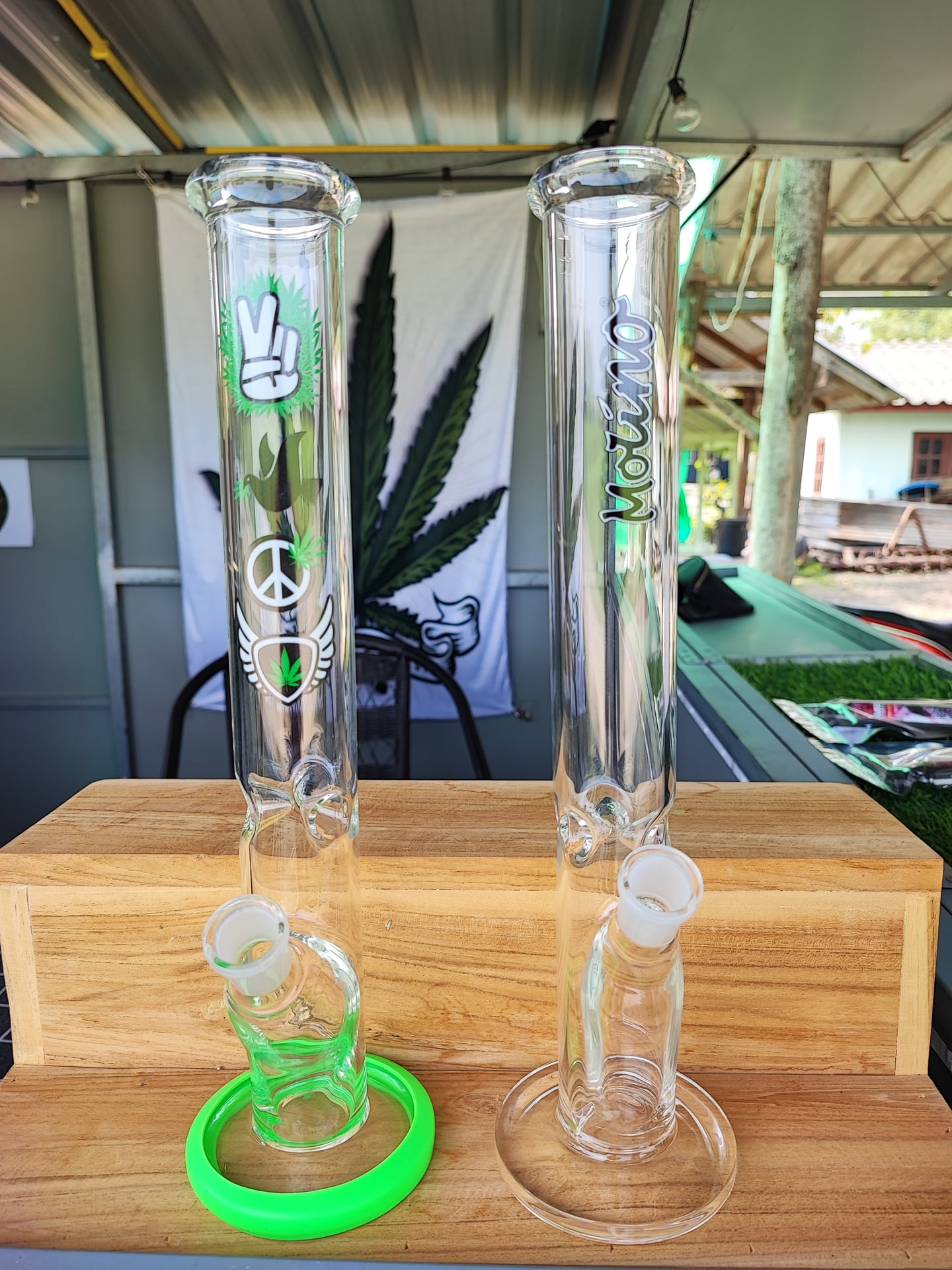 Jack Herer Salok Bat