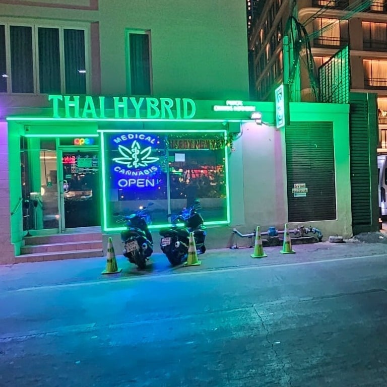 Thai Hybrid