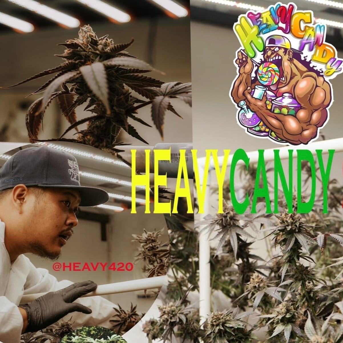HEAVY CANDY