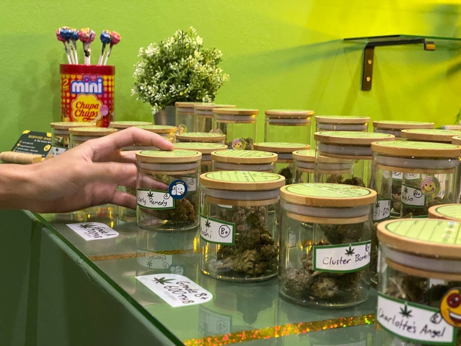 Sudyod Ganja