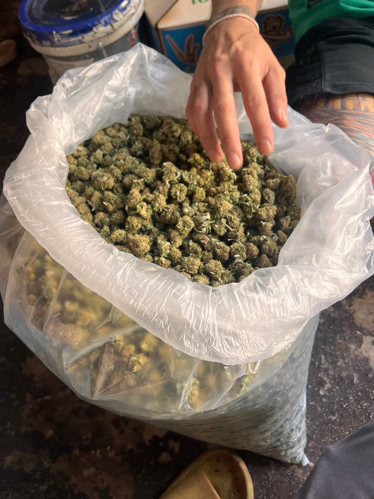 Stoner