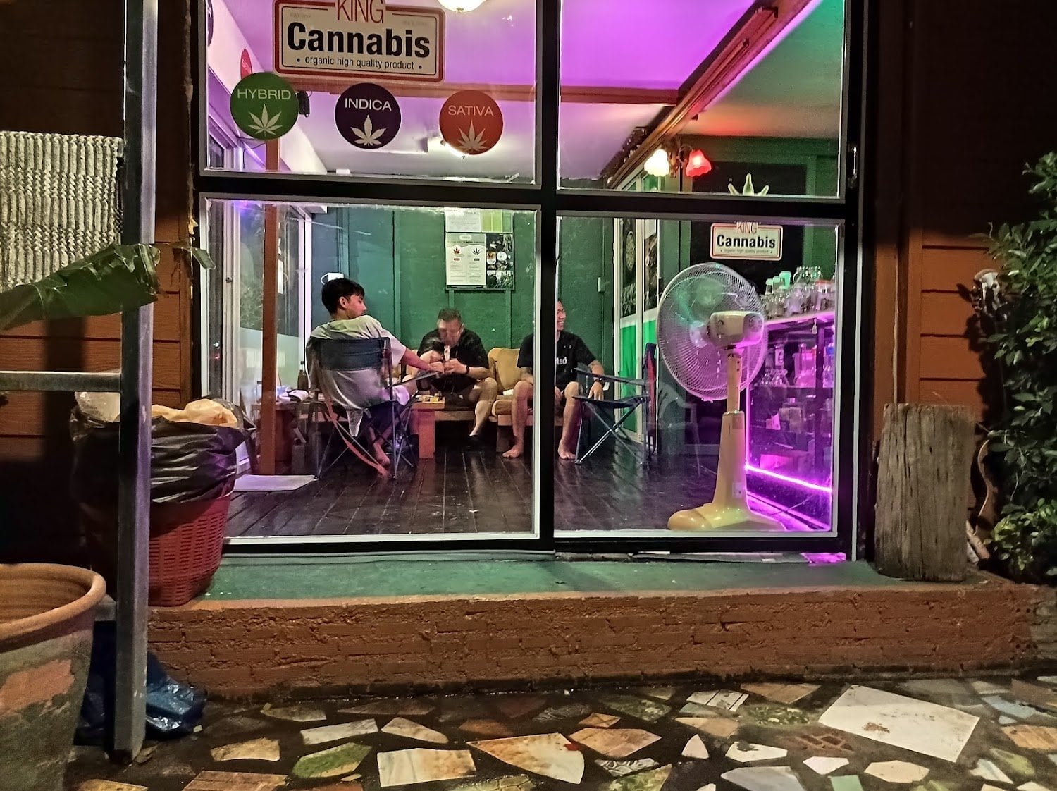 King Of Cannabis Garden