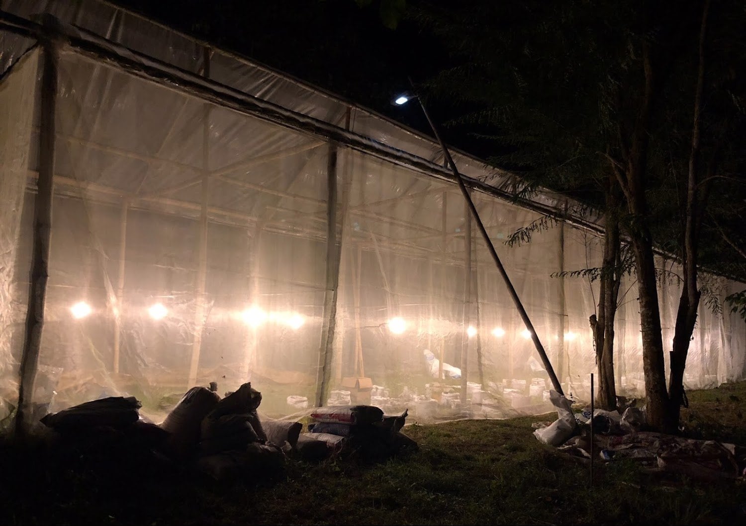 Sai Yok Cannabis Garden