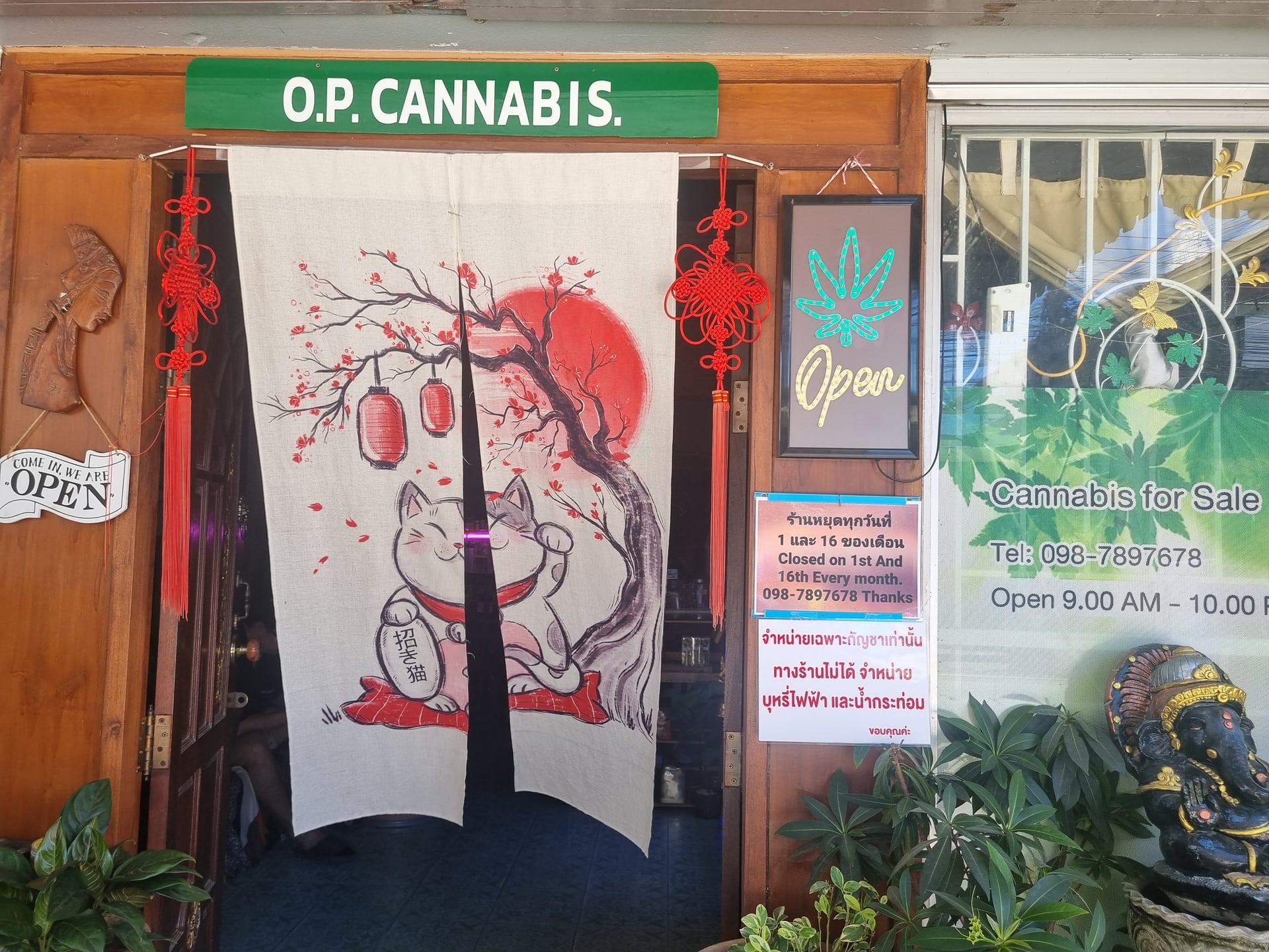 O.p Cannabis