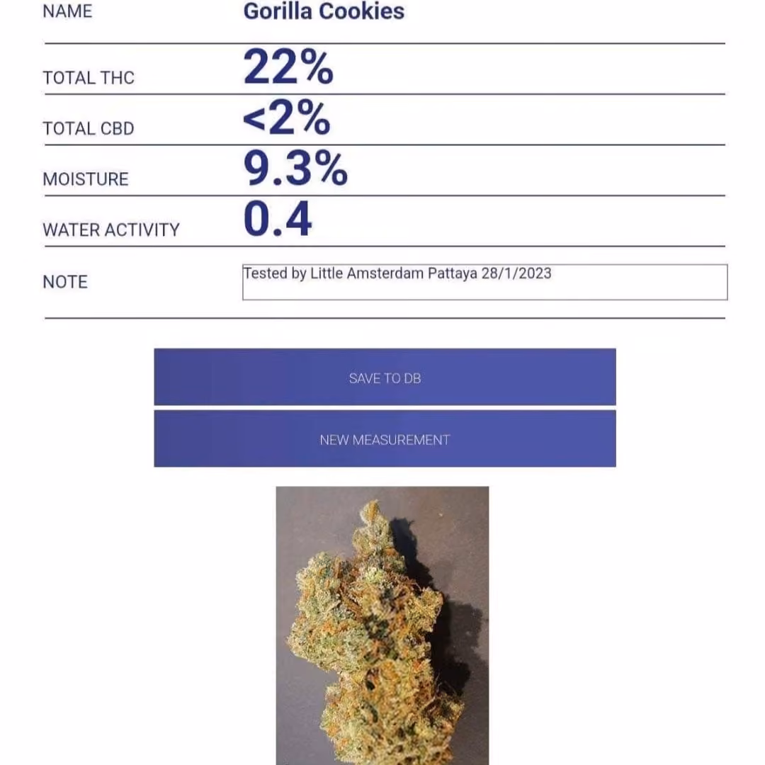 Dispensario di cannabis Chao Sua a Chachoengsao logo