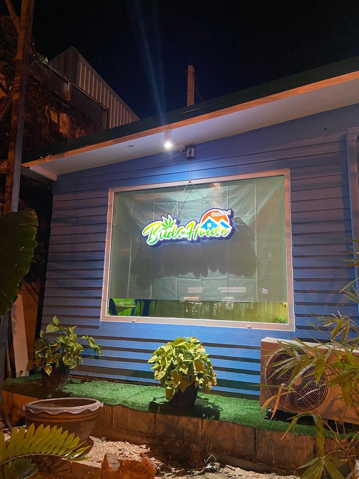 Buds House