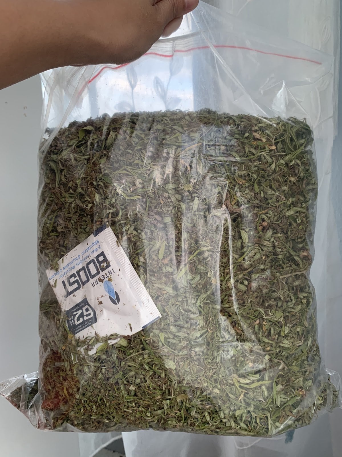 Bodhi Farm Weed JungleJoints