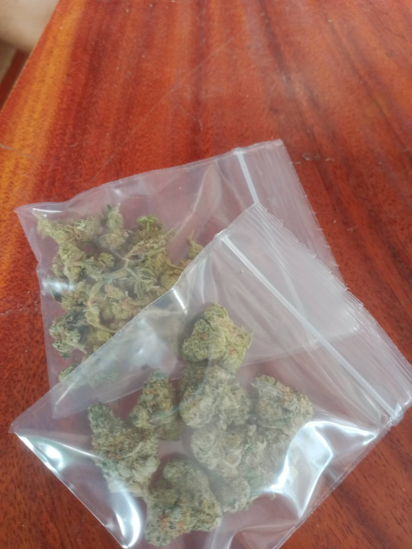 Nj Cannabis