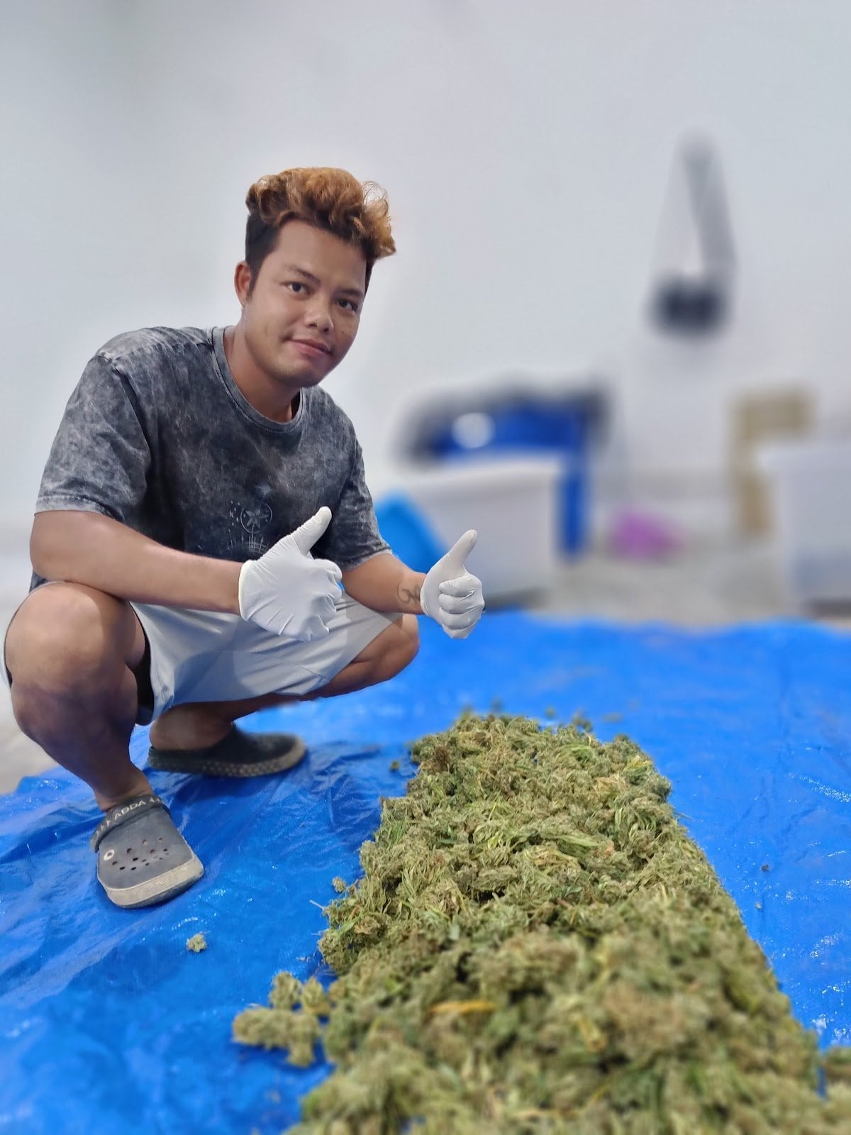 Siam Healthy Cannabis