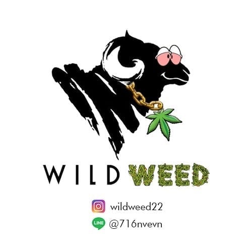 Wild Weed logo