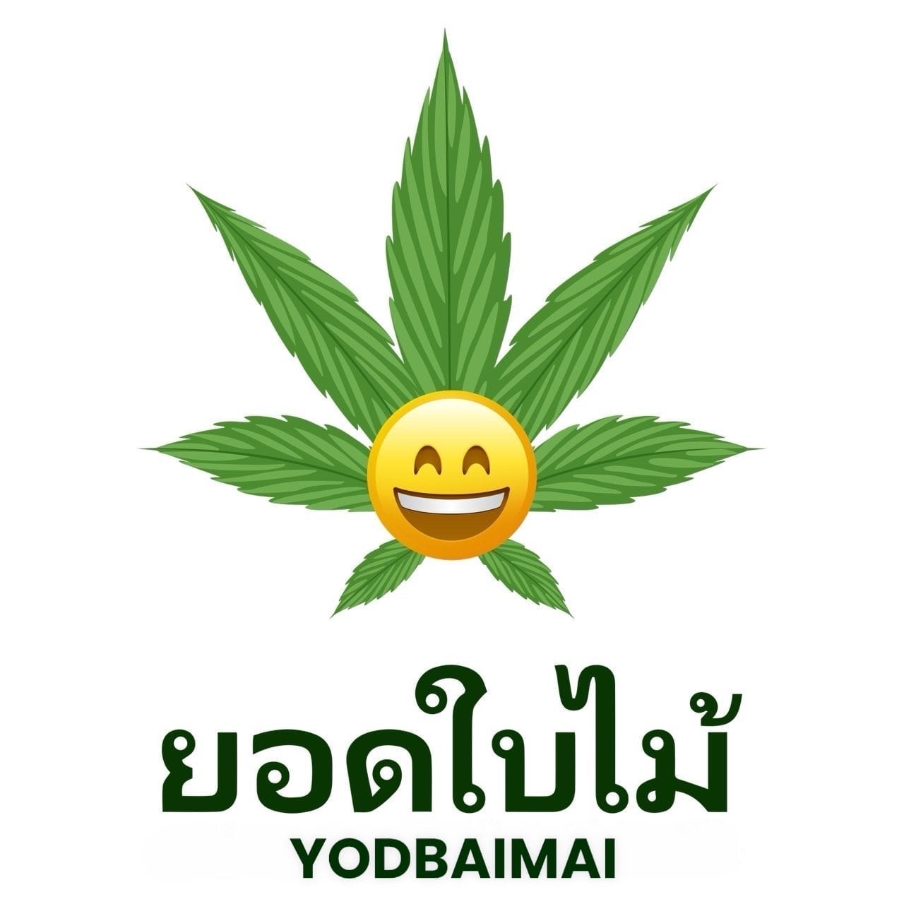 Pattaya में कैनबिस डिस्पेंसरी Yodbaimai लोगो