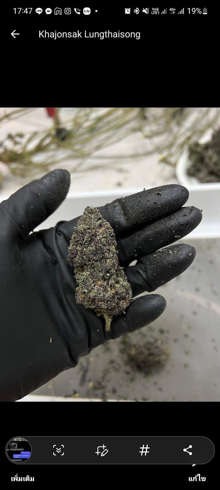 Octagrams Cannabis Dispensary Shop CNX