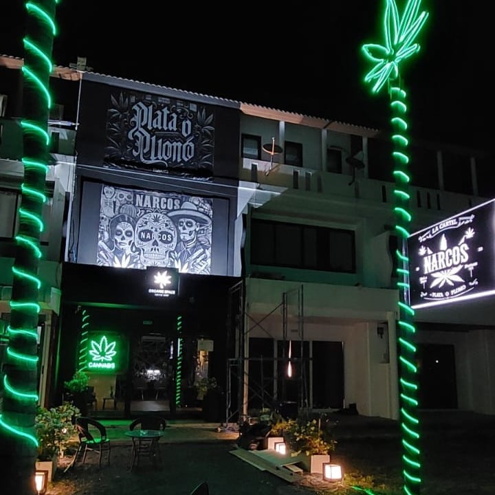 Narcos Samui