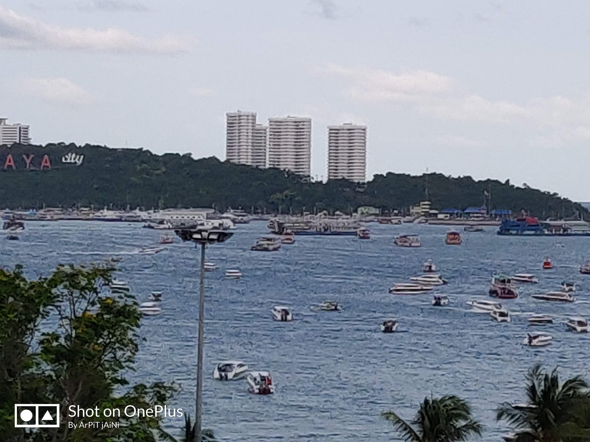 DANQ Cannabis Dispensary Pattaya Beach