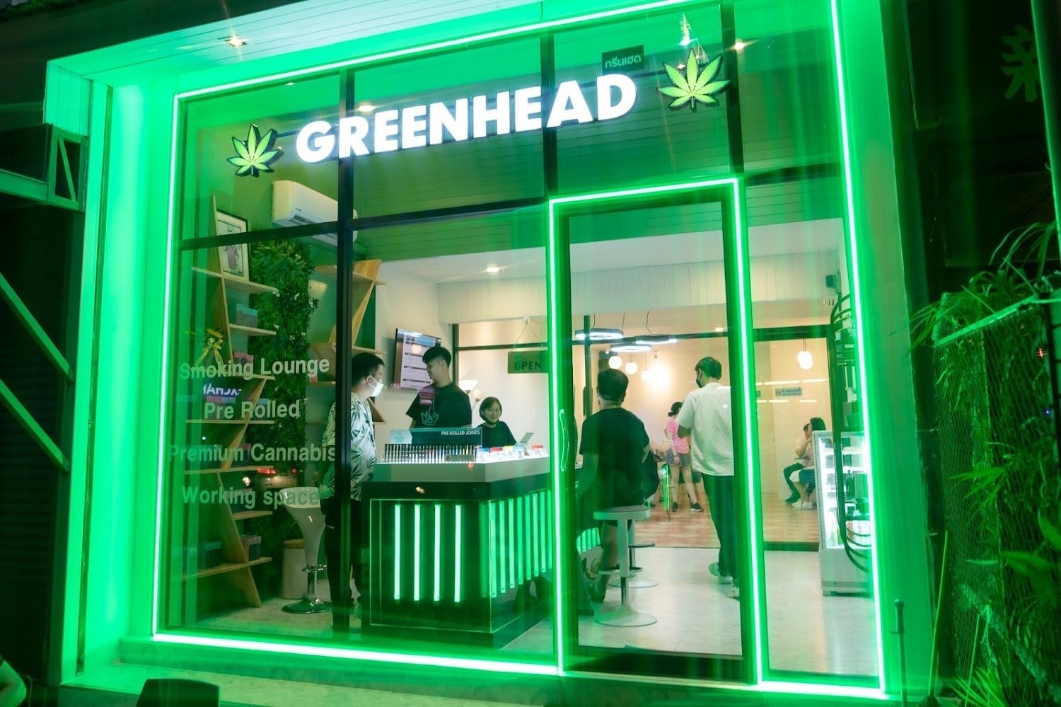 Greenhead Clinic - Nimman