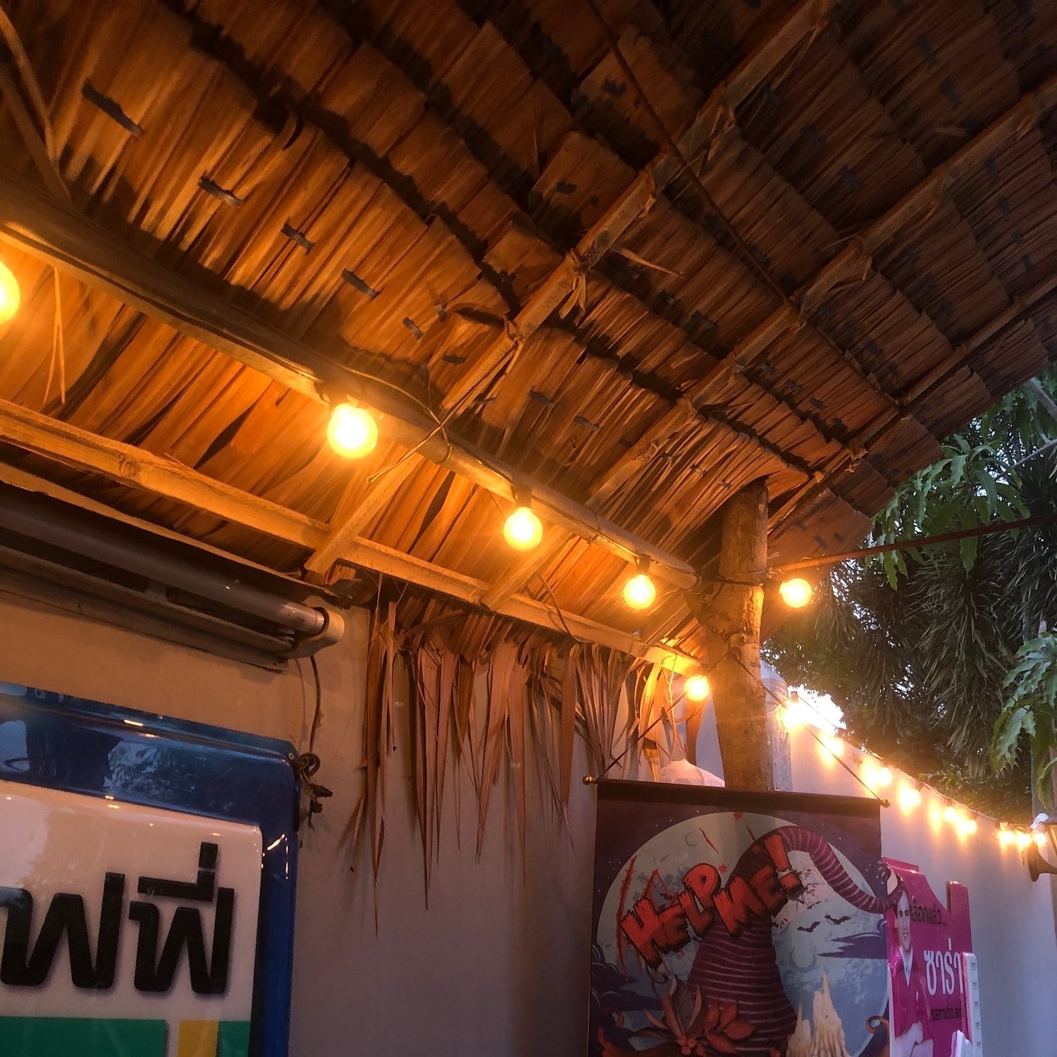 Store King Cannabis