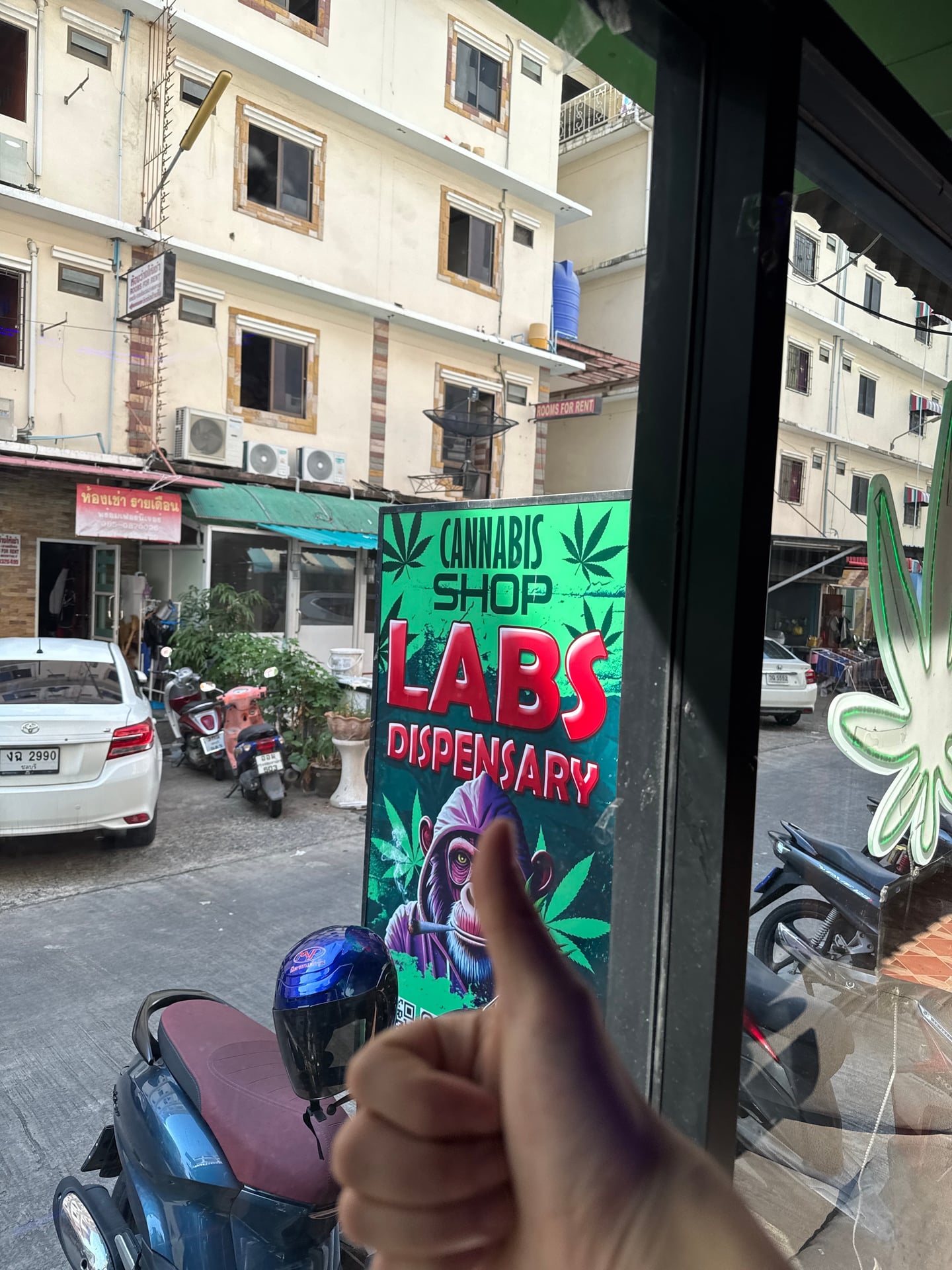 Labs