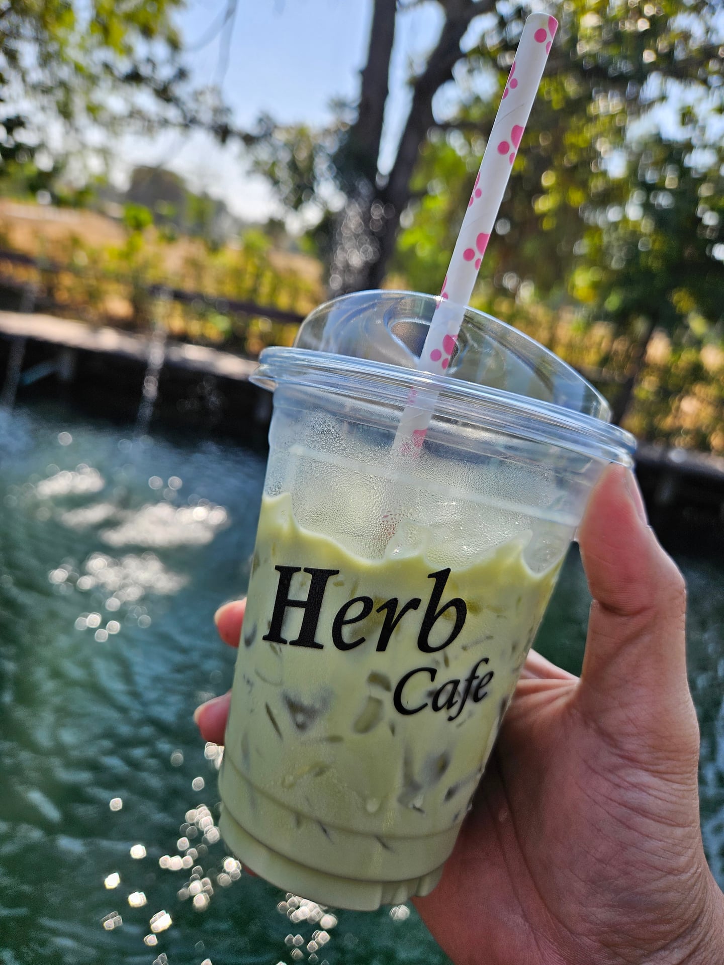 Herb Cafe