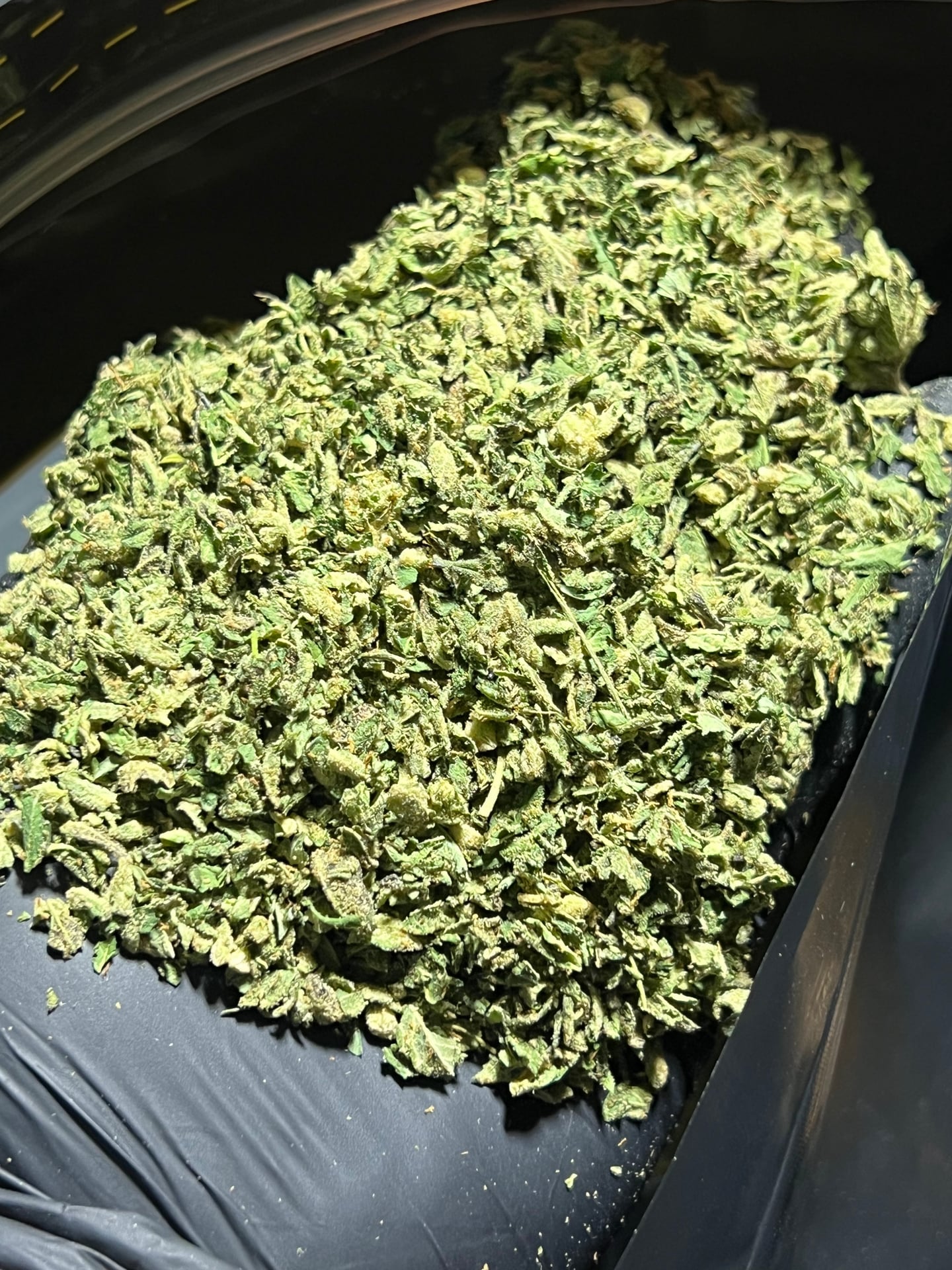 99Weed
