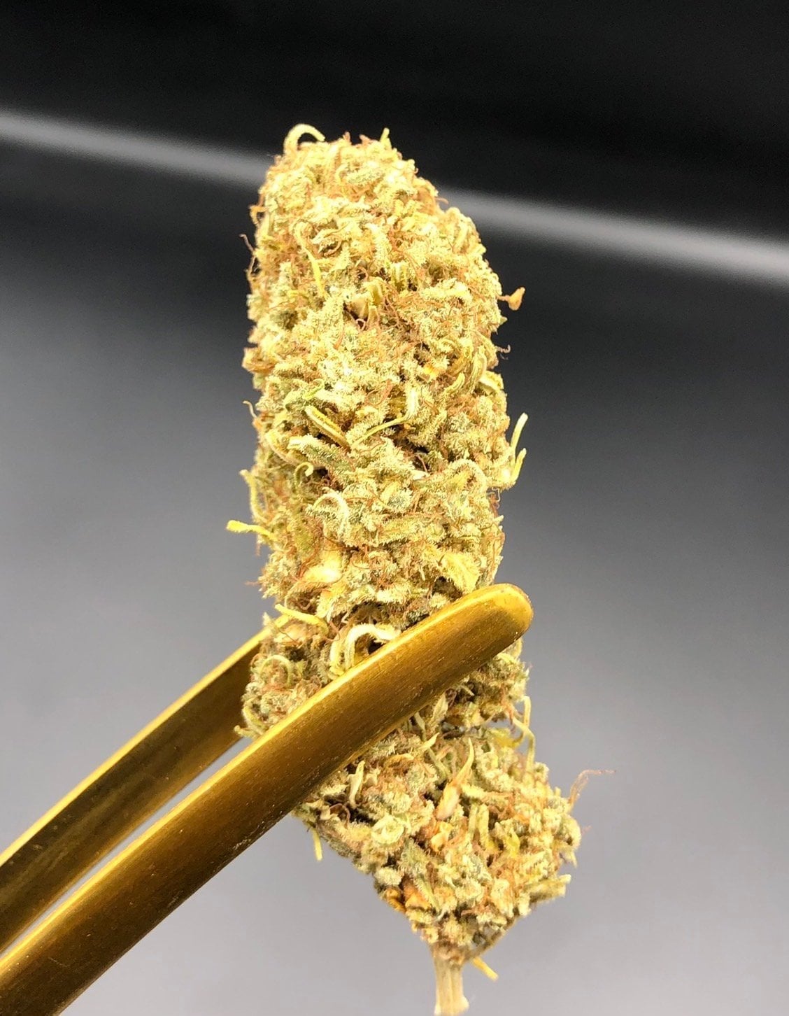 Hall Of Fame Cannabis