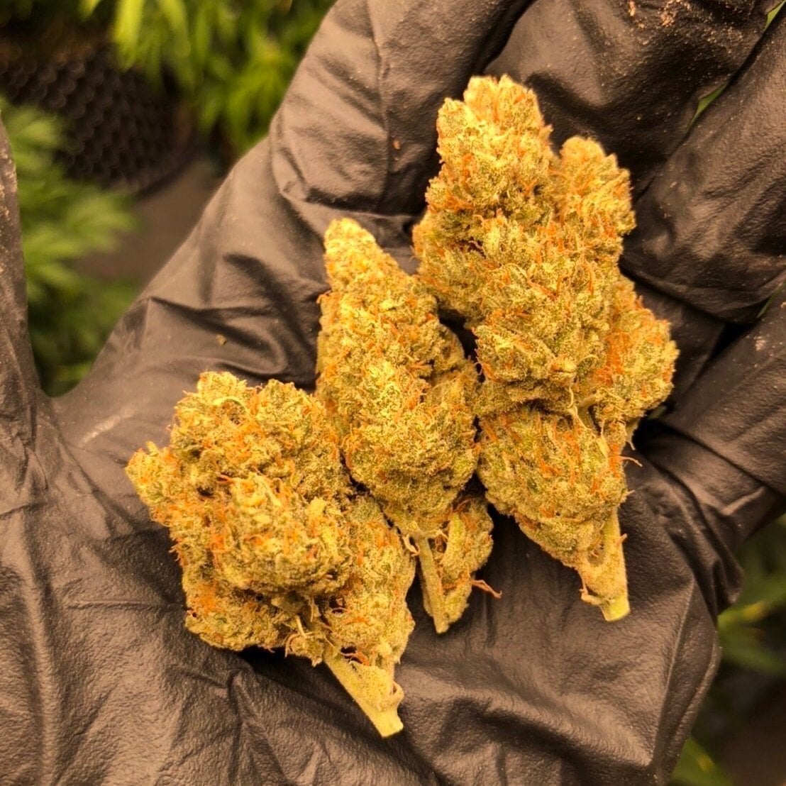 Galexy High