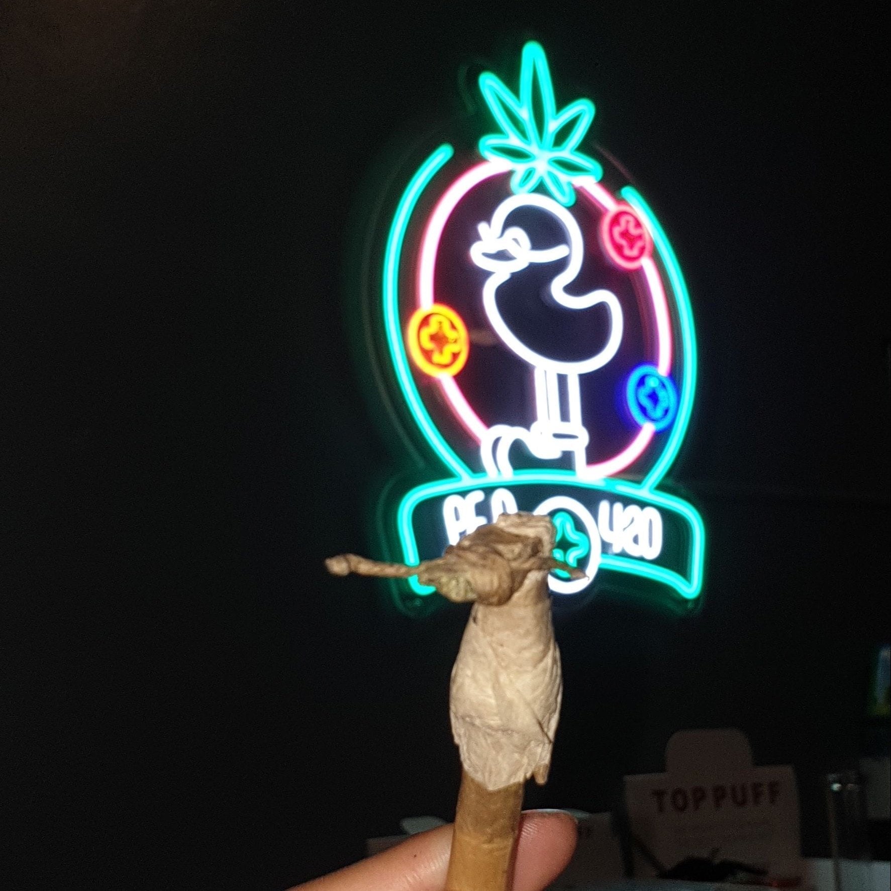 Cannabis Dispensary P.e.d logo