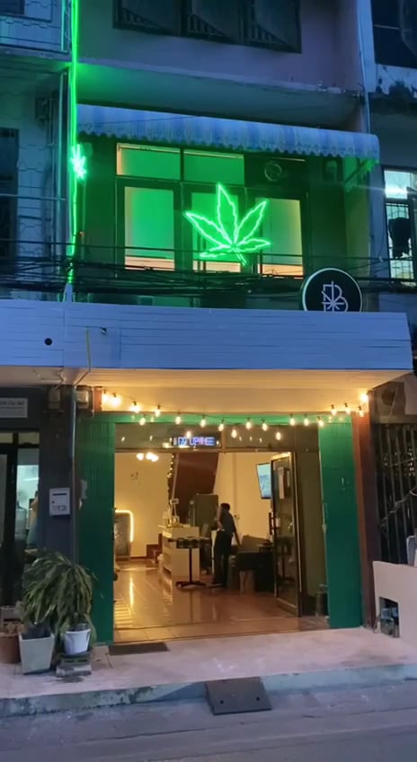 ZaZa Asia Cannabis Dispensary And