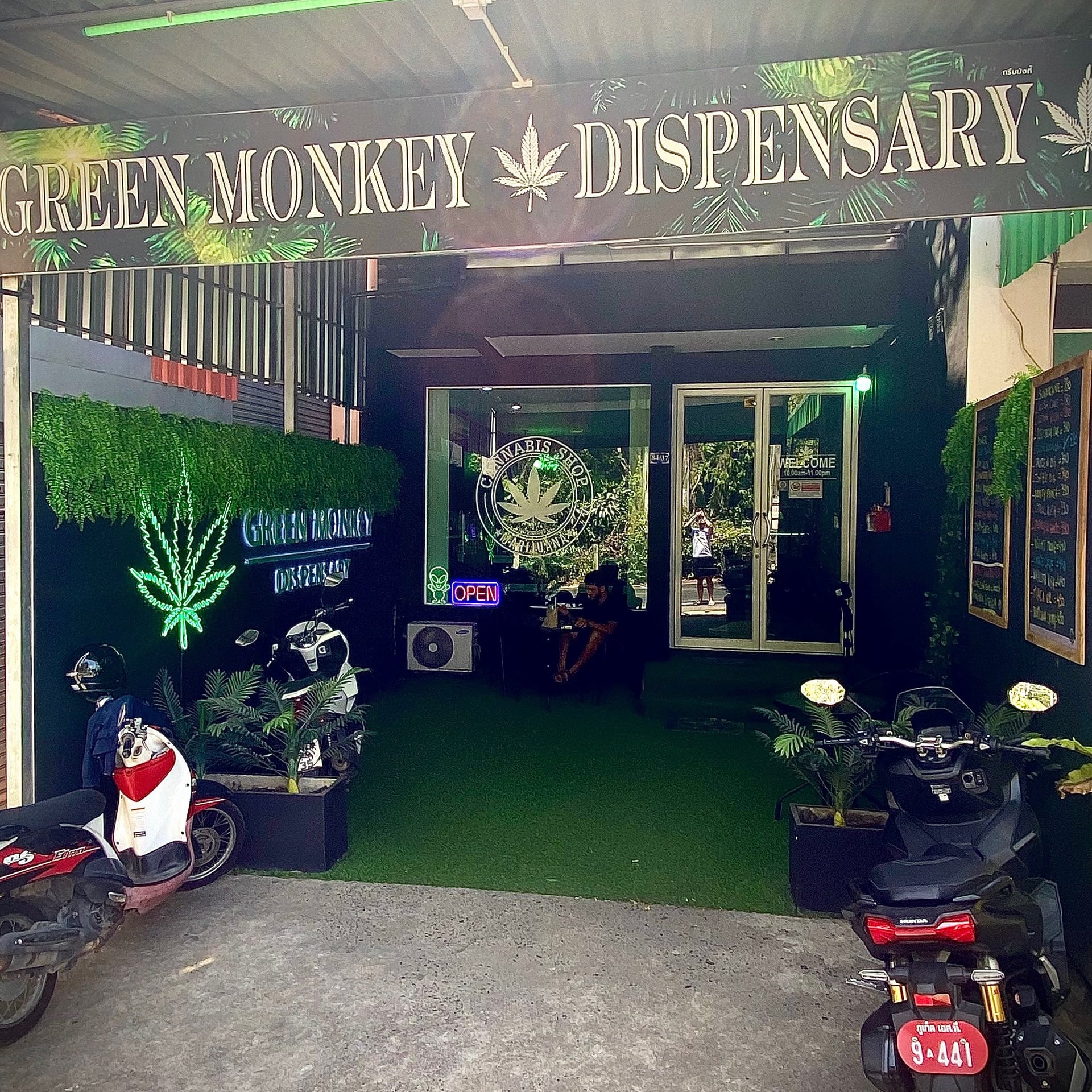 Green Monkey