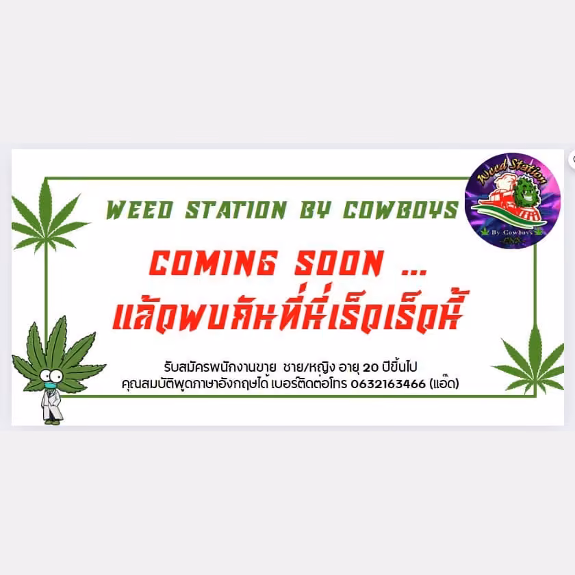 Cannabis Dispensary Weed Station in Chiang Mai logo