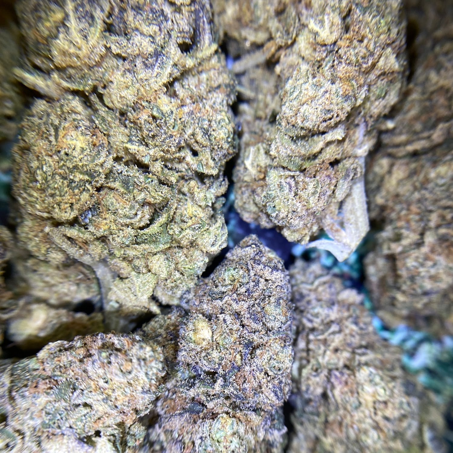 KK Cannabis