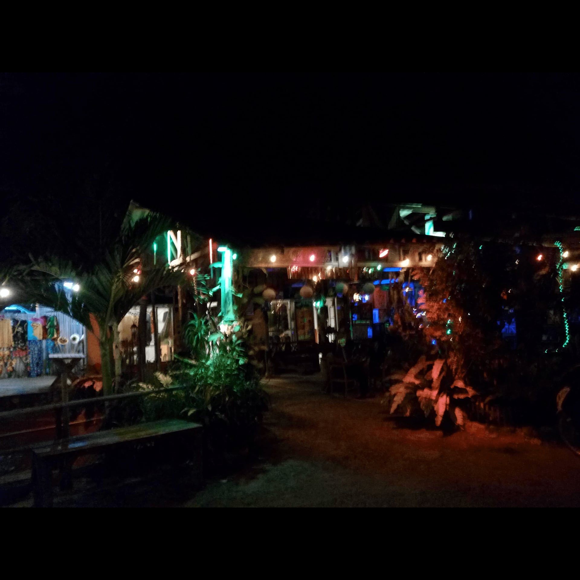 South Reggae Bar & Reggae logo
