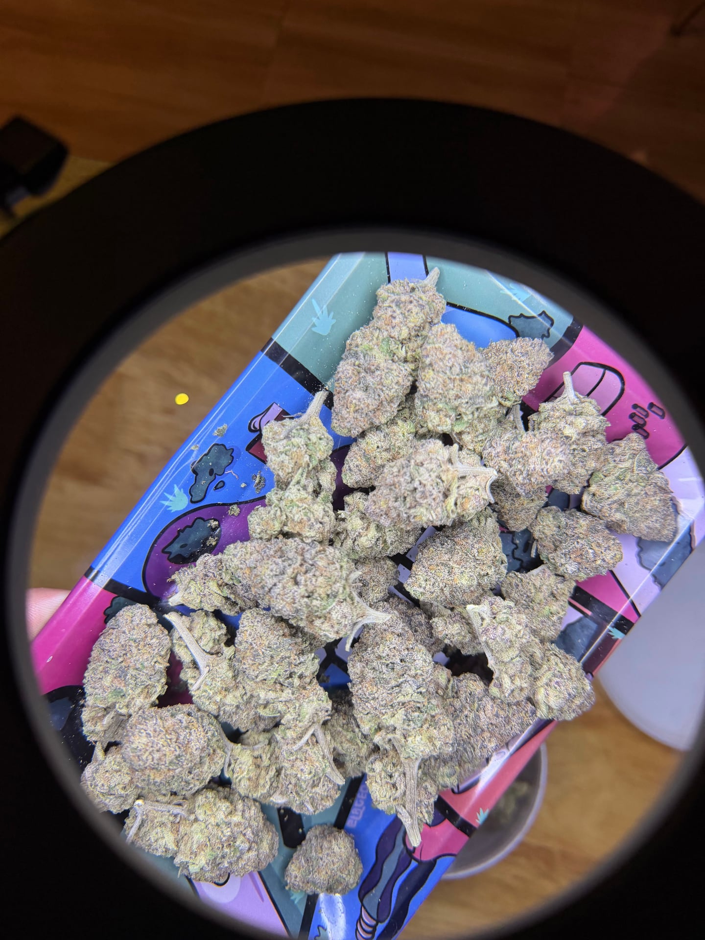 Purple Light & Weed Shop & Jomtien Weed