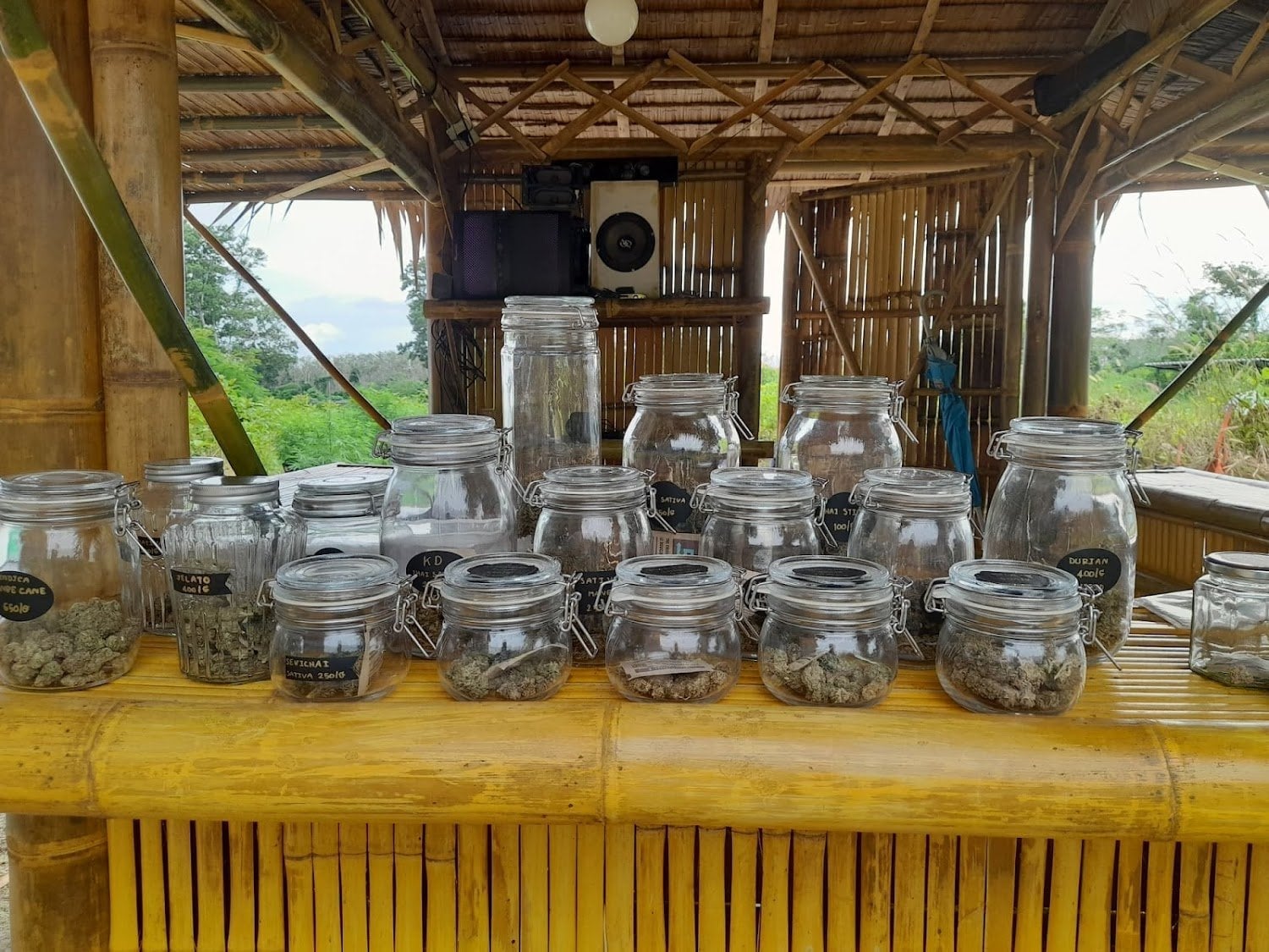 Cannabis Si Sunthon