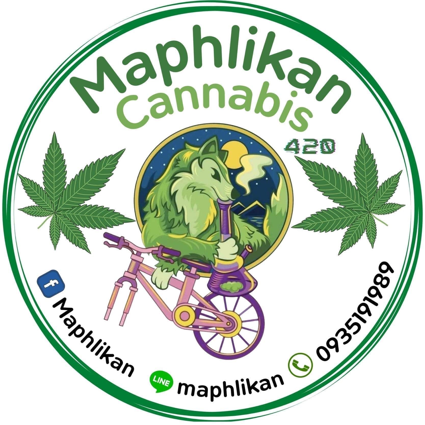 Cannabis Dispensary Maphlikan Cannabis in Phuket logo