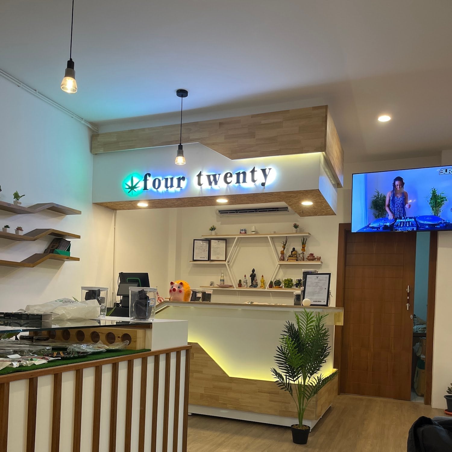Four Twenty Samui Lamai Weed Cannabis