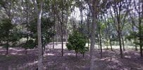 Chénlóng Cannabis Farm