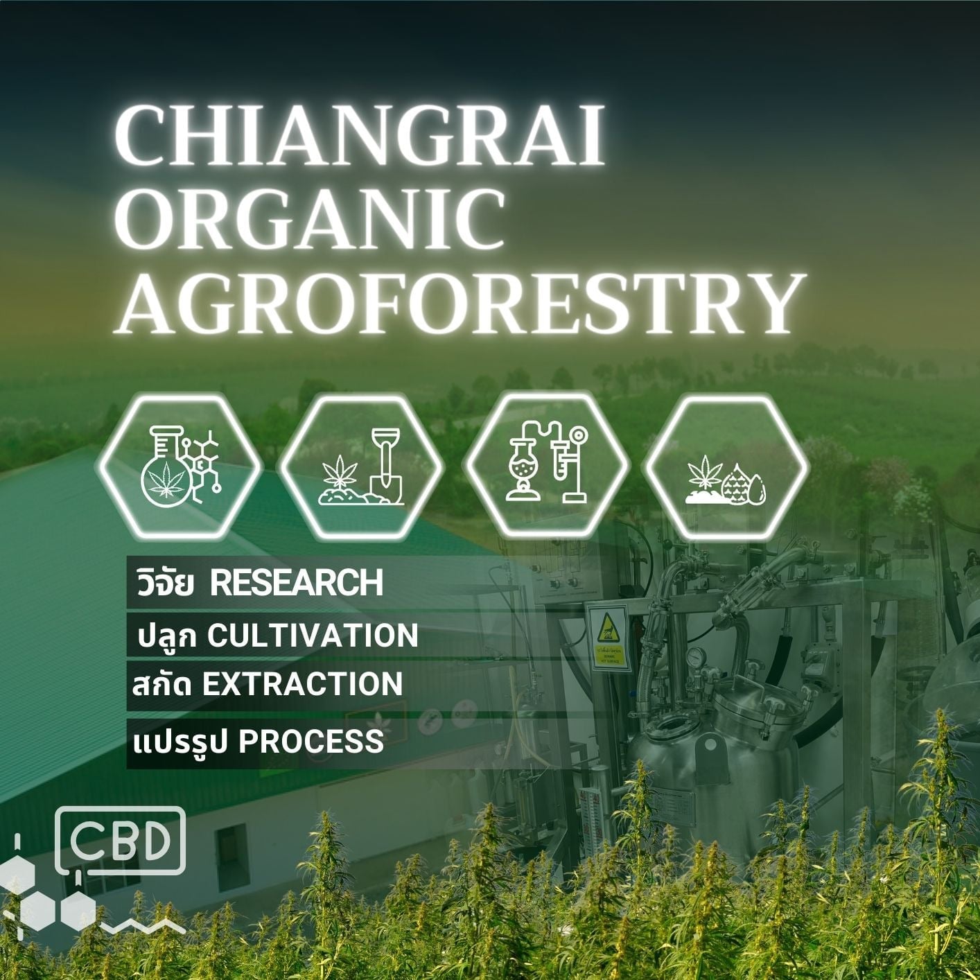 Nrai Cannabis Farm CBD