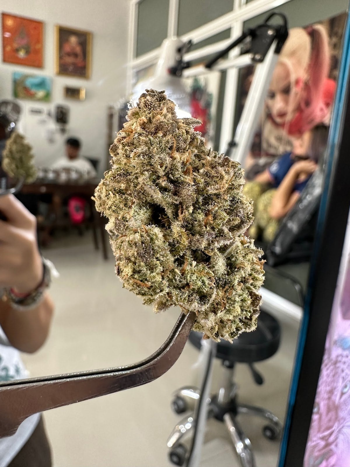 Weed Shop Boys