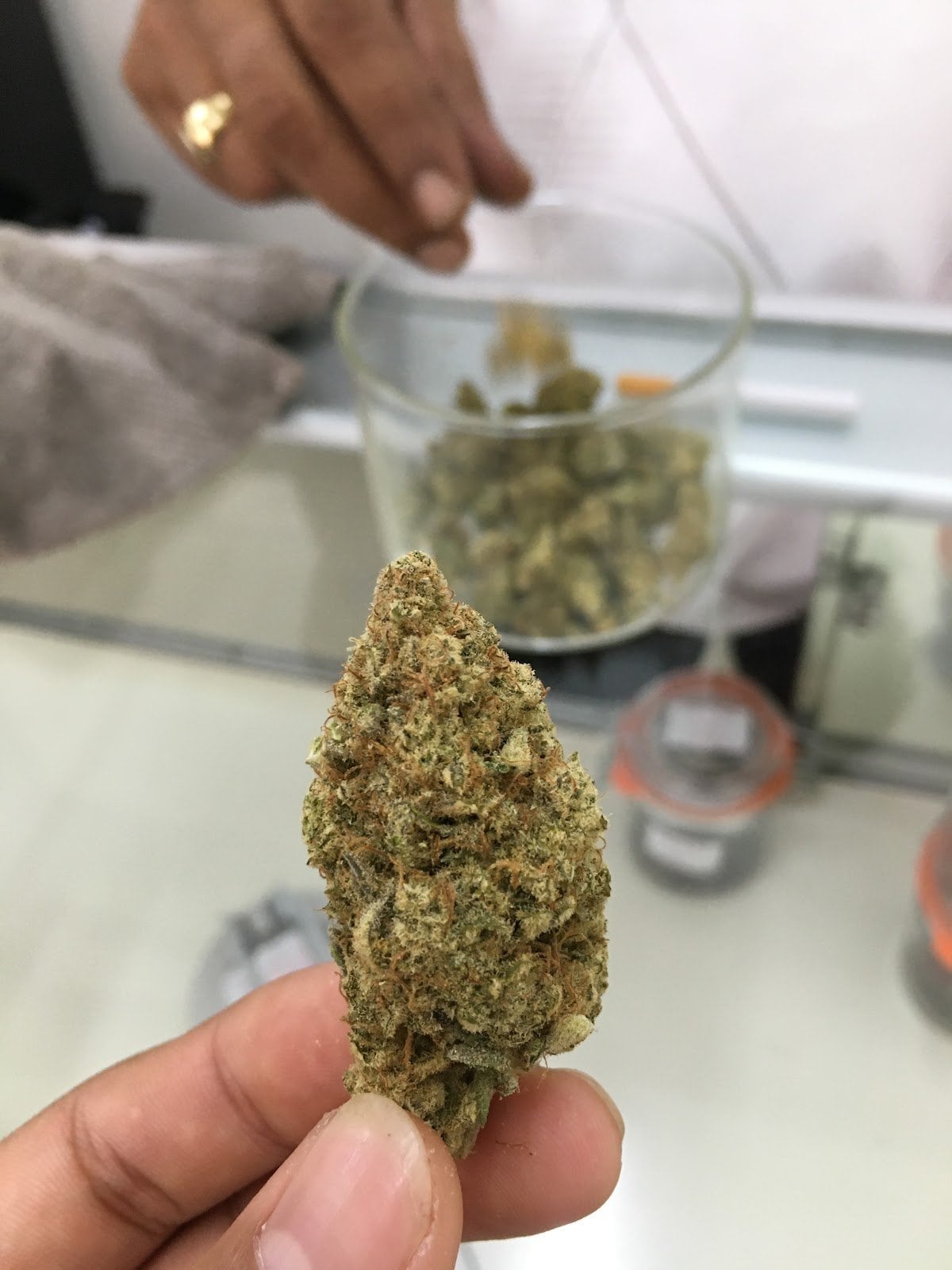 Weed Cannabis Shop Sensimilia Medicanna