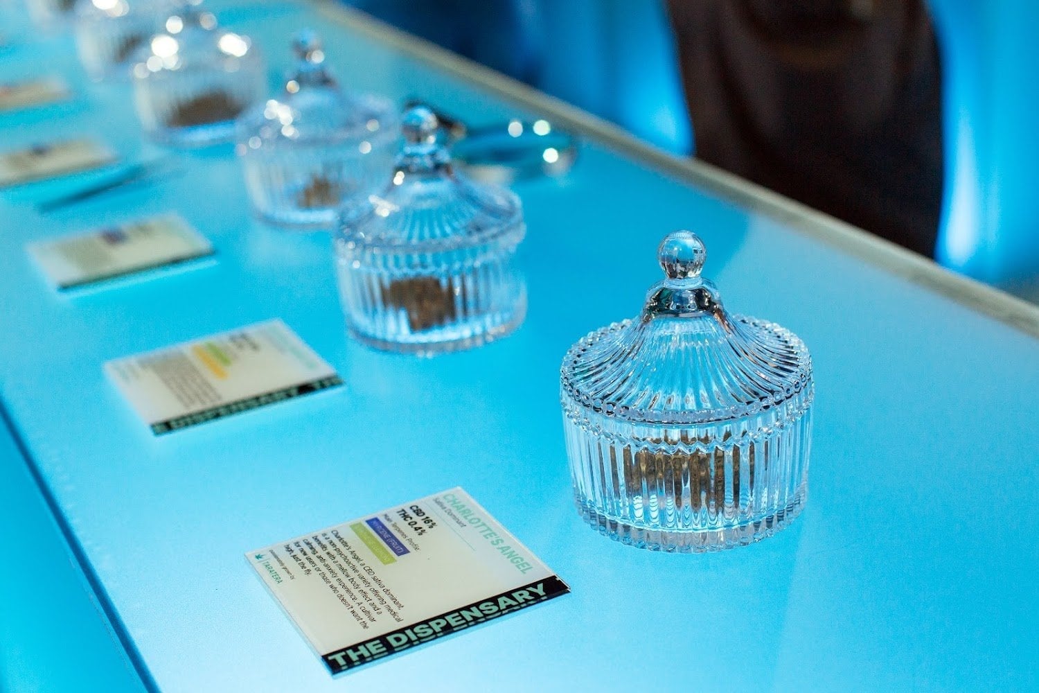 The Dispensary Nimman - Premium Cannabis