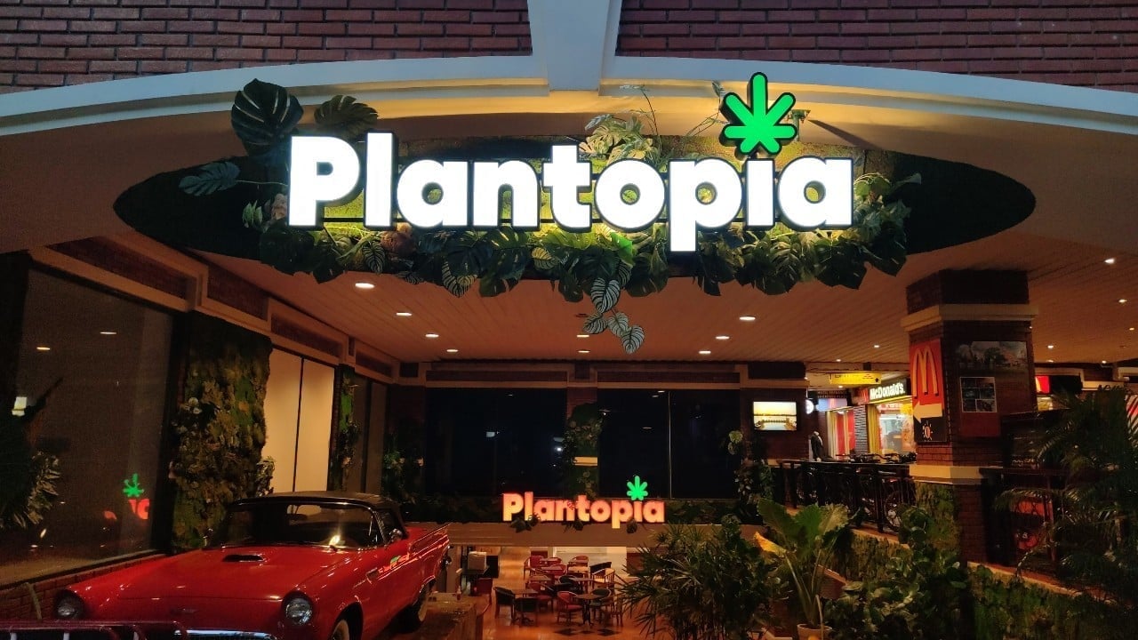 Plantopia - Weed City