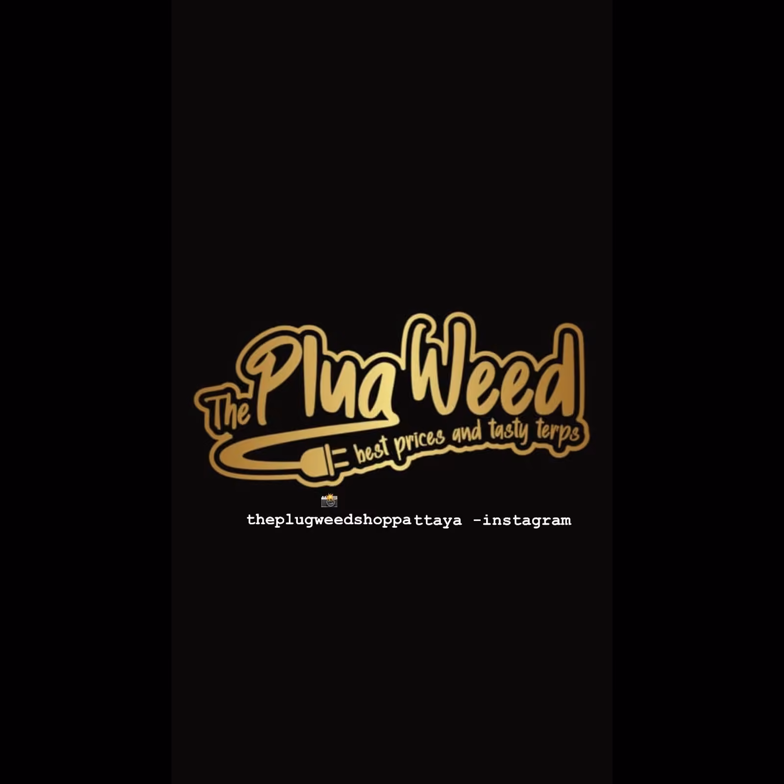 مستوصف القنب The Plug Weed في Pattaya شعار