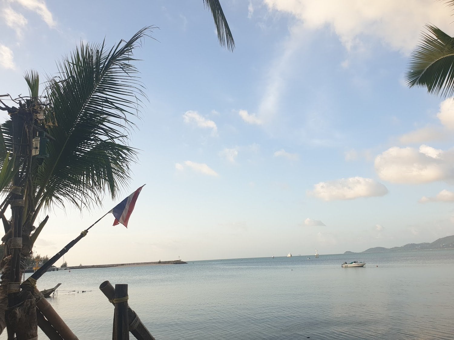 Jone Klam Beach Cannabis Farm